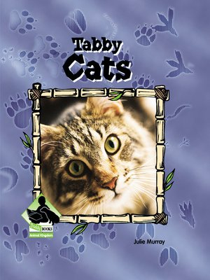 cover image of Tabby Cats